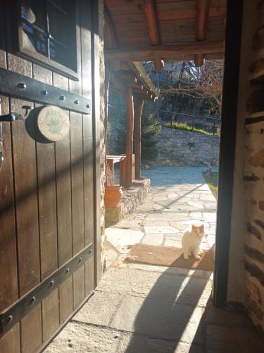 a cat sitting in the doorway of a building at Archontiko Michael Pelion in Vizitsa