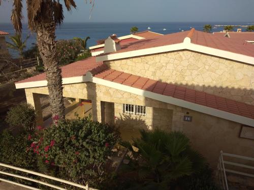 a house with a red roof and a palm tree at Casita Solemar direkt am Atlantik in Calheta Do Maio