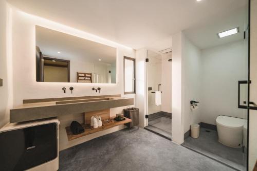 a bathroom with a sink and a toilet and a mirror at 肇兴溪舍山堂 Creekside Inn in Liping