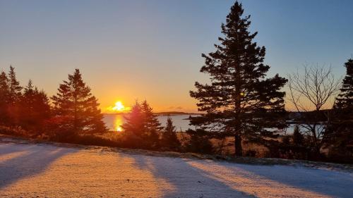 a sun setting over a snowy road with trees at Oceanfront Apartments in Port Dufferin