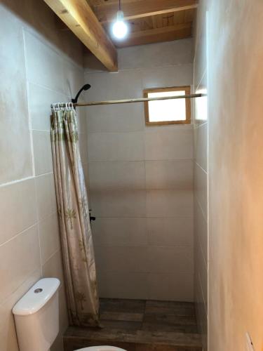 a bathroom with a toilet and a shower at Franlu in Lago Puelo