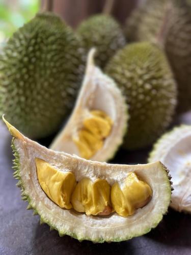 a durian fruit with a cut in half at Kung Nok Tha Resort Nakhon Si Thammarat in Nakhon Si Thammarat