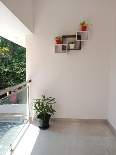 a white room with potted plants on the wall at Casa Branca Retreat in Varkala