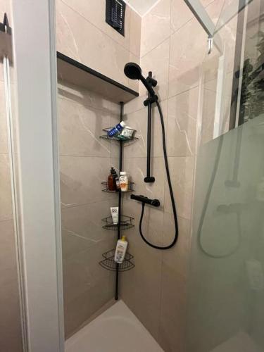 ein Bad mit einer Dusche mit einem Duschkopf in der Unterkunft Appartement cœur du centre-ville in Avignon