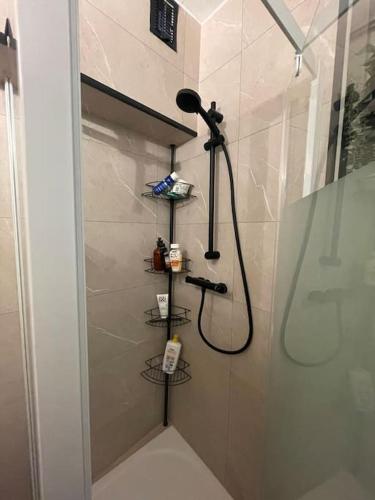 une salle de bain avec une douche avec pommeau de douche dans l'établissement Appartement cœur du centre-ville, à Avignon