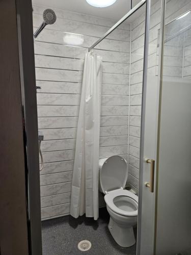 a bathroom with a toilet and a shower at BG Homes in Peterborough
