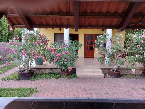 a house with three potted plants in front of it at Hanol Apartmanház Balatonlelle in Balatonlelle