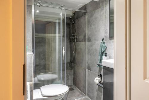 a bathroom with a shower with a toilet and a sink at Gemütliche Unterkunft mit Terrasse in Quickborn
