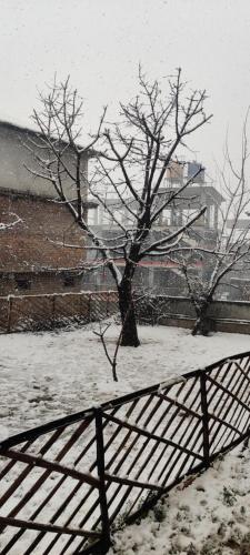 The Homstel Manali – Photos 3