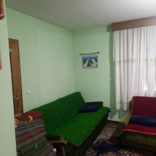 a living room with a green couch and a chair at Planinska kuca Mikovica in Vrnjačka Banja