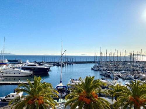 un port de plaisance regorgeant de bateaux et de palmiers dans l'établissement HYEBER Studio pour 2 personnes avec vue mer panoramique, sur le port d'Hyères, à Hyères