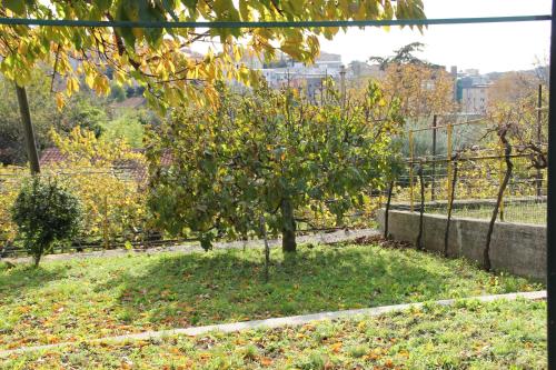 Gallery image of Il Gelsomino in Trieste