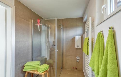 a bathroom with a shower and green towels at 2 Bedroom Cozy Home In Wustrow in Wustrow