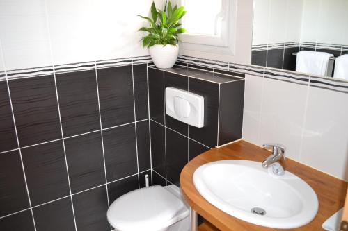 een badkamer met een wastafel en een toilet bij Chambre avec salle de bain privative comme à l'hôtel et "salon-cuisine" à partager avec les 4 autres locataires in Saint-Maurice-de-Gourdans