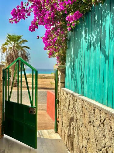 Boutique Apartments Ibiscus