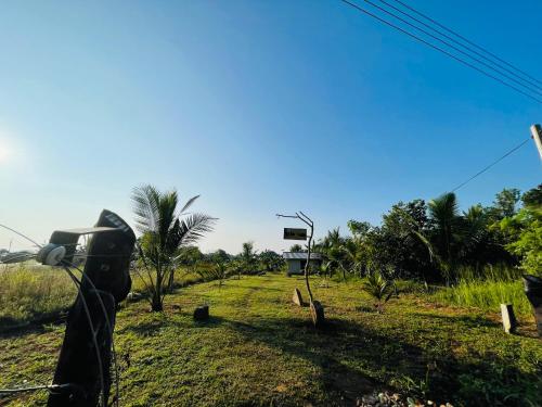 a person is taking a picture of a field at The Eco-Lodge 더 에코-롲지 in Maho