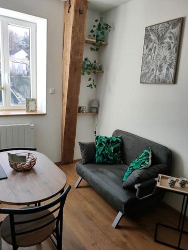 un salon avec un canapé et une table dans l'établissement Superbe T2 neuf dans maison de maitre hyper centre, à Épinal