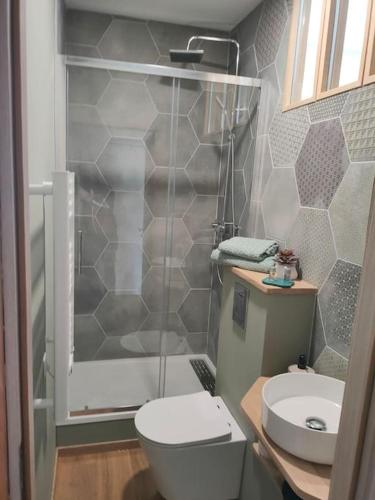 une salle de bain avec une douche, des toilettes et un lavabo dans l'établissement Superbe T2 neuf dans maison de maitre hyper centre, à Épinal