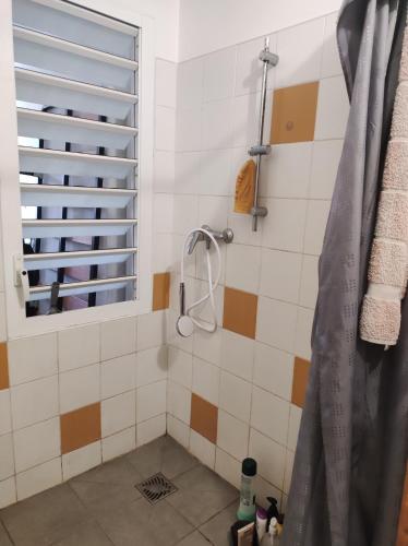 La salle de bains est pourvue d'une douche et d'une fenêtre. dans l'établissement Appartement 2 chambres étang sale, à L'Étang-Salé