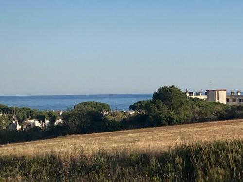 Φυσικό τοπίο κοντά σε αυτό το ξενοδοχείο διαμερισμάτων