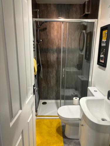 a bathroom with a shower and a toilet and a sink at Firbank House in Glenrothes