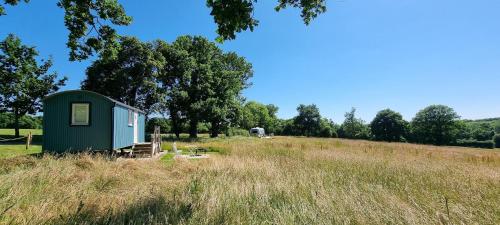 a green shed in a field of tall grass at Chase Farm Glamping in Southwater