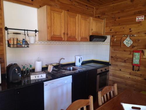 a kitchen with a stove and a sink in a cabin at Mountain Lodge T3 Duplex Abrigo do Lobo in Covilhã