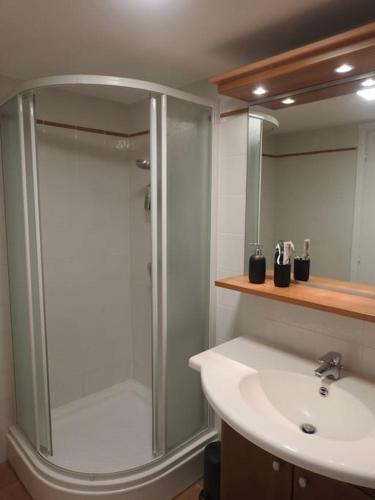 une salle de bain avec douche et lavabo dans l'établissement Mont Joly YourHostHelper, au Cannet