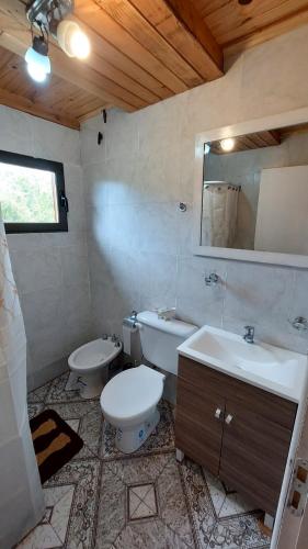 bagno con servizi igienici, lavandino e specchio di Tito Fly a Cholila