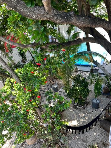 Bazén v ubytování Hotel Caracol Isla Mujeres nebo v jeho okolí