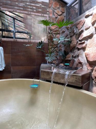 a bath tub with a water fountain in a bathroom at Oasis On Lily with OWN Pool in Johannesburg