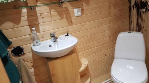 a bathroom with a sink and a toilet at Ma Roulotte sous les Chênes "la passionnée" in Raon-aux-Bois