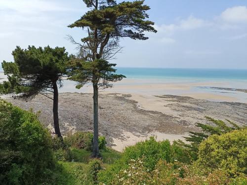 two trees on a hill next to a beach at La Thérèsienne in Pleines-Oeuvres