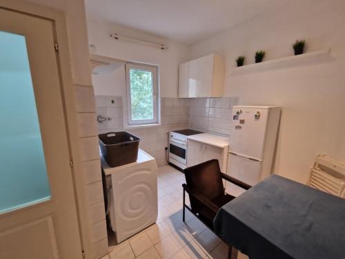 Η κουζίνα ή μικρή κουζίνα στο Belgrade Downtown Homestay