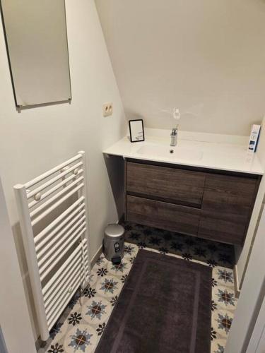 a bathroom with a sink and a mirror and a floor at Te Lande, vakantiehuis in Veurne