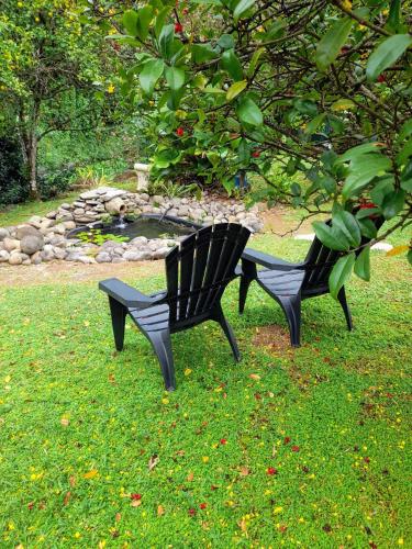 two black benches sitting in the grass near a pond at Les Bromélias chez Djo et Rosy in Sainte-Marie
