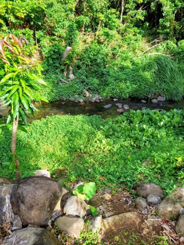 a garden with rocks and grass and a creek at Les Bromélias chez Djo et Rosy in Sainte-Marie
