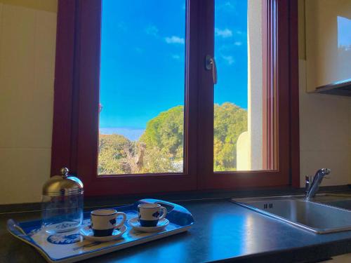 サン·ヴィンチェンツォにあるAppartamento Giuliaの窓付きのキッチンカウンターのトレイに2杯