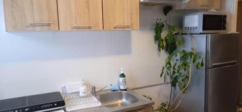 a kitchen with a sink and a refrigerator at Agroturystyka U Baltazara in Duszniki Zdrój