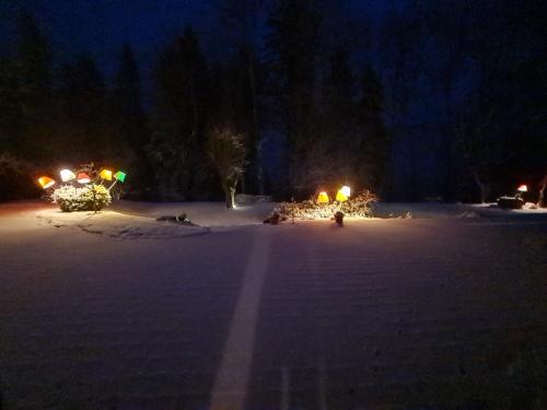 a snowy field at night with lights in the snow at Haus Fernblick in Kurort Bärenburg