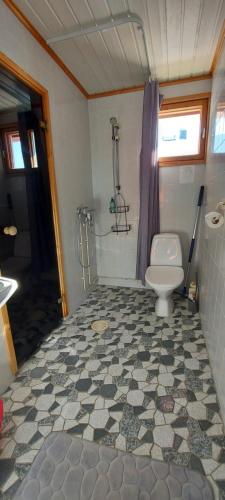a bathroom with a toilet and a shower at Hallan Alpit A mökki in Hyrynsalmi