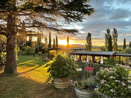 a garden with potted plants in front of a building at Agriturismo La Sovana in Sarteano