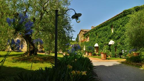 a street light in a garden with purple flowers at Agriturismo La Sovana in Sarteano