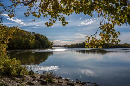 a view of a river with trees in the background at Villa Laval Bord de l'eau in Laval