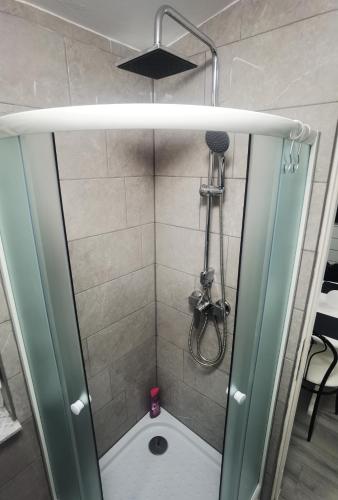 a shower with a glass door with a shower head at Art Room & Apartment in Ogulin