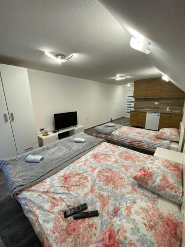 巴尼亞盧卡的住宿－Villa Mali Vuk，客房设有两张带遥控器的床。