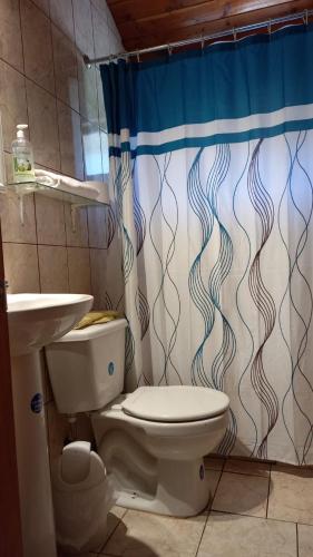a bathroom with a toilet and a shower curtain at Don Zoilo in Castro