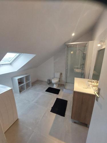 une salle de bain avec toilettes, lavabo et douche dans l'établissement Gîte du moulin Mont Saint Michel, à Pontorson