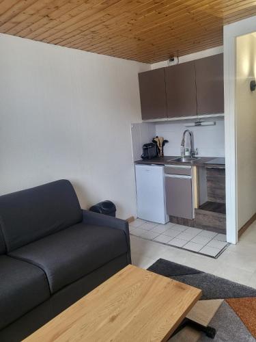 un salon avec un canapé et une cuisine dans l'établissement Appartement 4 personnes ski aux pieds, à Les Deux Alpes