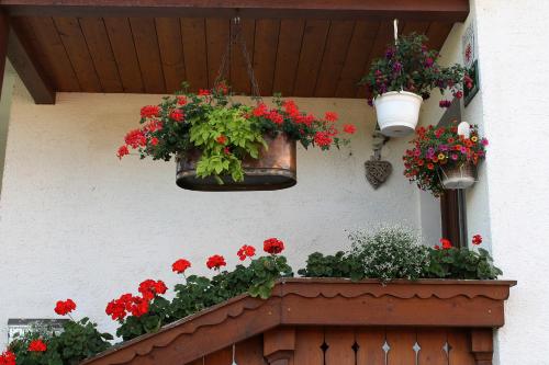 a bunch of flowers in pots on a wall at Ferienwohnung Stock in Rinn